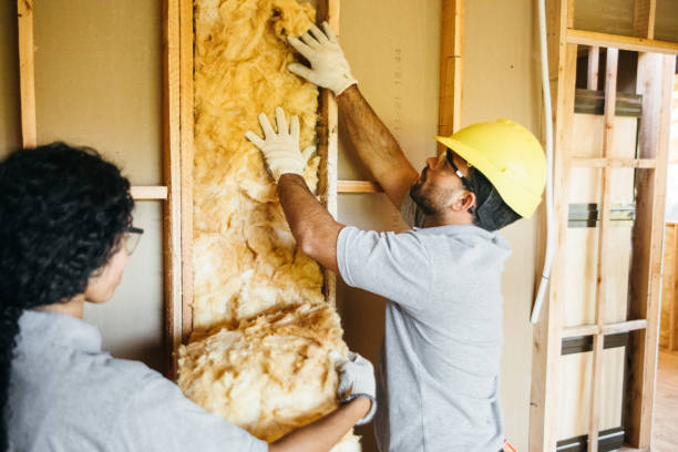 Types of Insulation We Offer in Dubach, LA